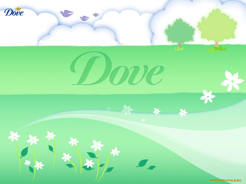 , dove